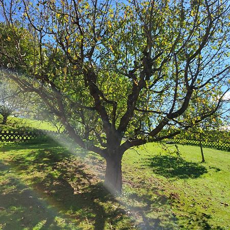 Ferienhaus Zangl Am Seggauberg - Suedsteiermark Leibnitz Eksteriør bilde