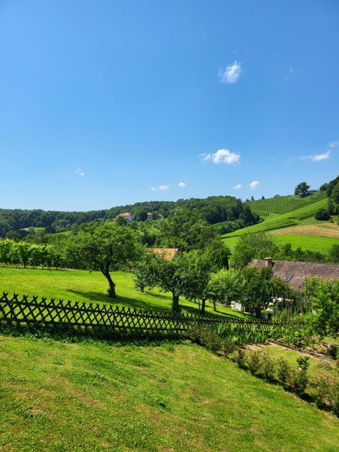 Ferienhaus Zangl Am Seggauberg - Suedsteiermark Leibnitz Eksteriør bilde