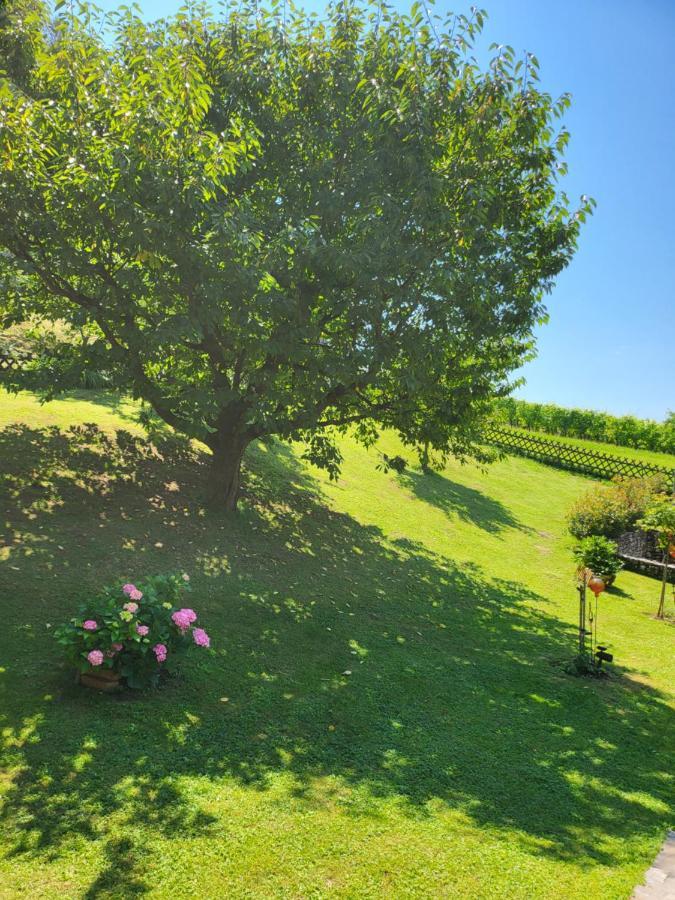 Ferienhaus Zangl Am Seggauberg - Suedsteiermark Leibnitz Eksteriør bilde