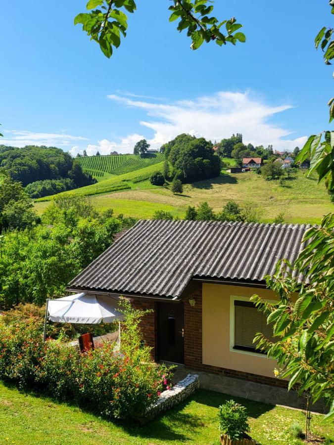 Ferienhaus Zangl Am Seggauberg - Suedsteiermark Leibnitz Eksteriør bilde