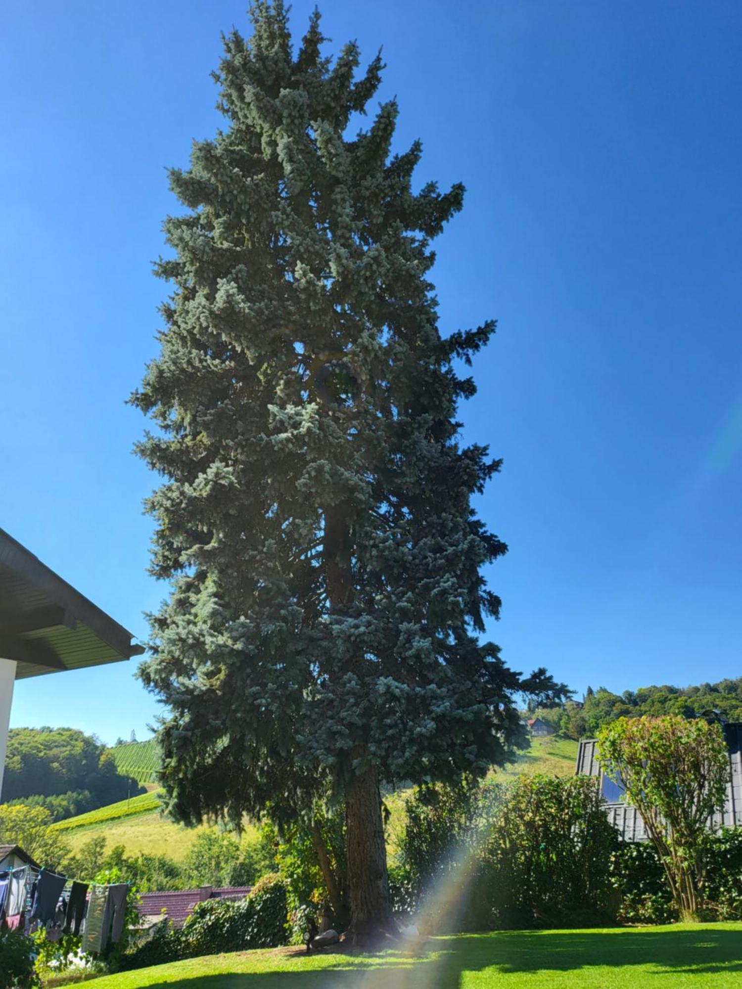 Ferienhaus Zangl Am Seggauberg - Suedsteiermark Leibnitz Eksteriør bilde