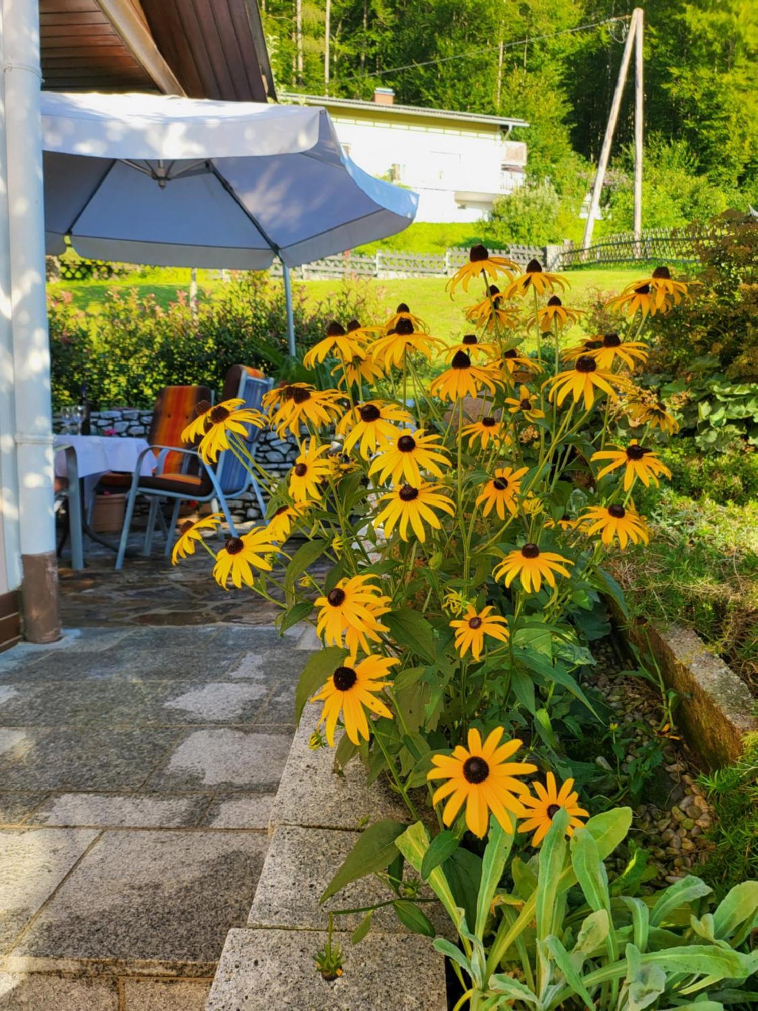 Ferienhaus Zangl Am Seggauberg - Suedsteiermark Leibnitz Eksteriør bilde